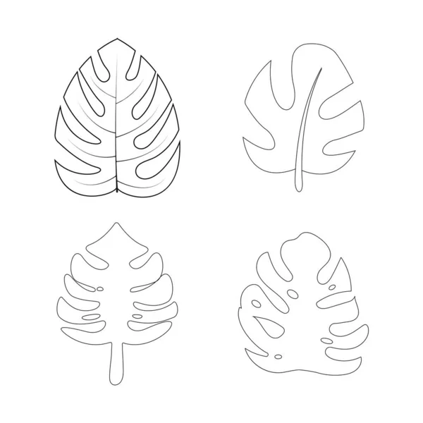 Monstera Leaf Icon Vector Design Template — 스톡 벡터