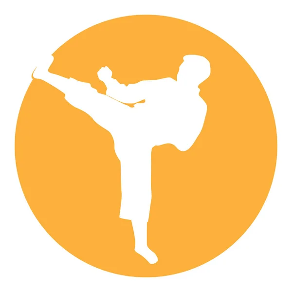 Ícone Homem Fazendo Taekwondo Design Ilustração Vetor Pontapé — Vetor de Stock