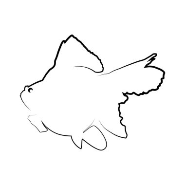 Japon balığı simgesi vektör çizimi