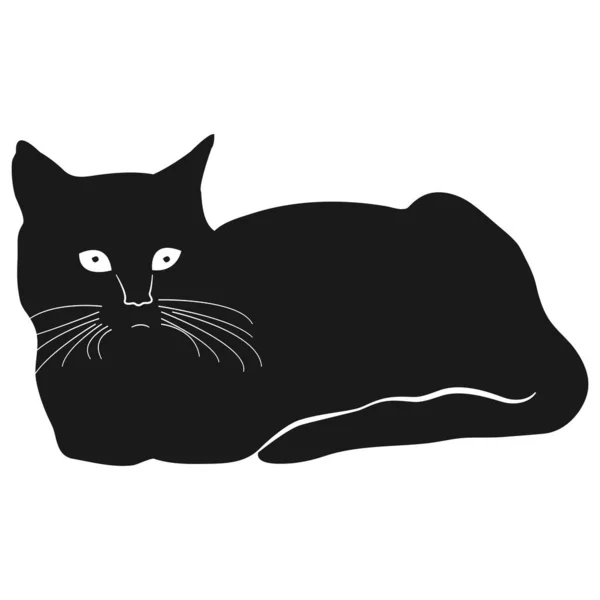 猫图标矢量图解设计 — 图库矢量图片
