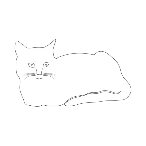 Icono Gato Vector Ilustración Diseño — Vector de stock