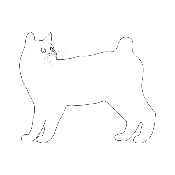 Desenho Ilustração Vetor Ícone Gato — Vetor de Stock