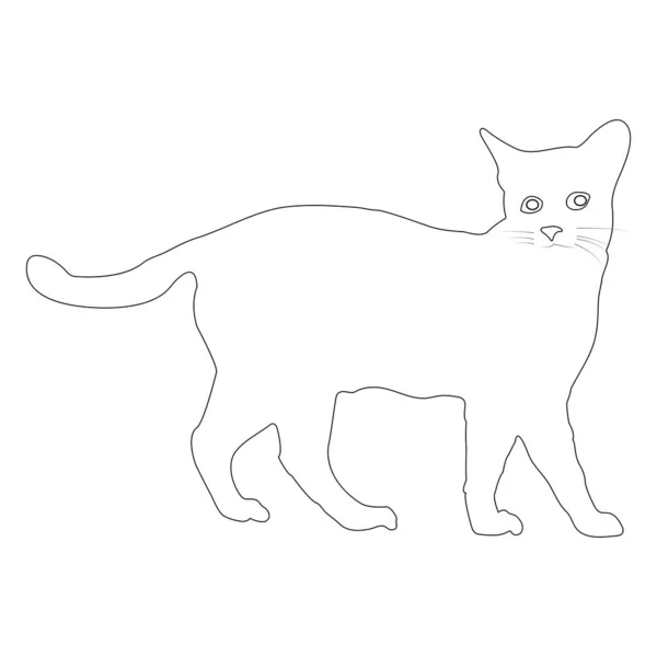 猫のアイコンベクトルイラストデザイン — ストックベクタ