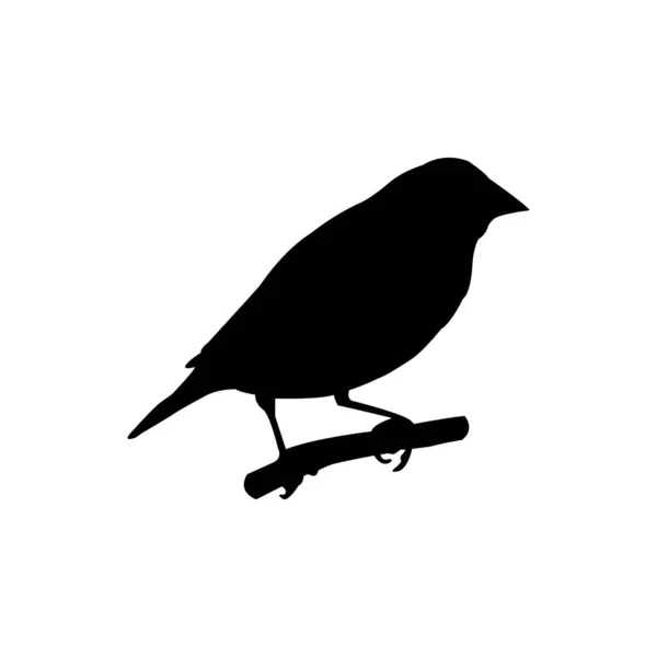 グルドアン フィンチ鳥のアイコンベクトルイラストデザイン — ストックベクタ