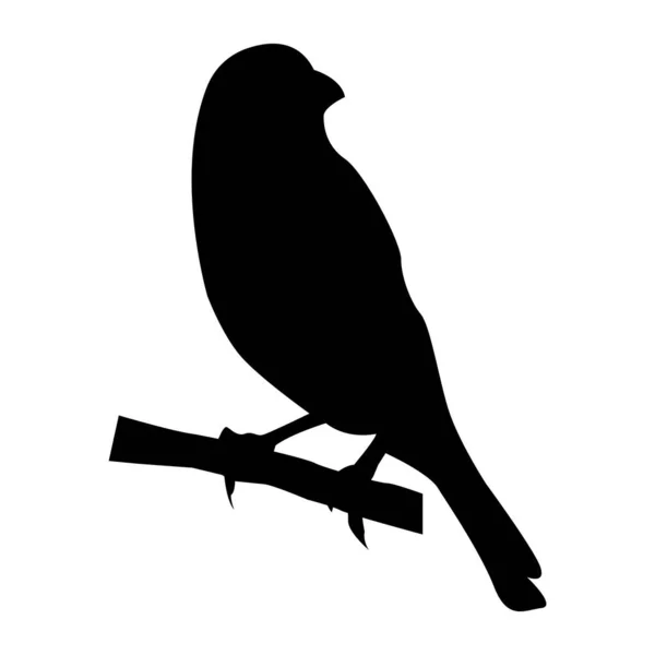 Gouldian Finch Pássaro Ícone Vetor Ilustração Design —  Vetores de Stock