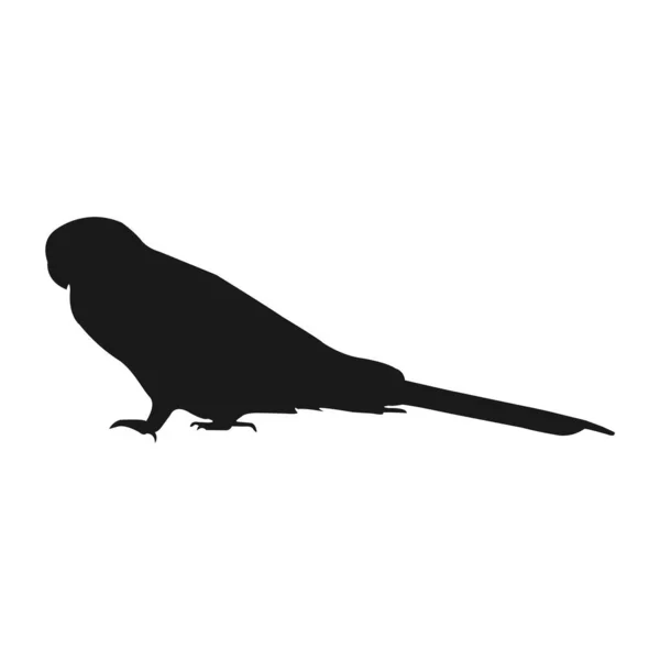 Perruche Oiseau Icône Vektor Illustration Design — Image vectorielle