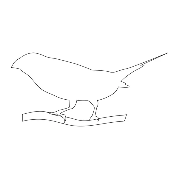 Gouldian Pinzón Pájaro Icono Vector Ilustración Diseño — Vector de stock