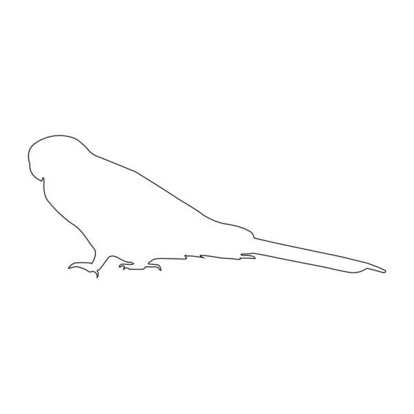 Sittich Vogel Symbol Vektor Illustration Design — Stockvektor