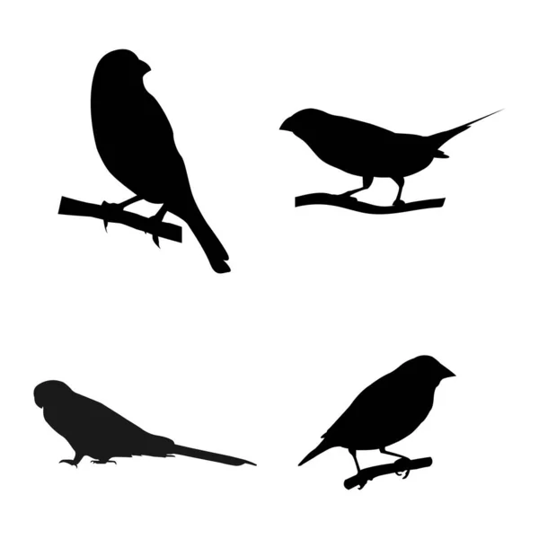 グルドアン フィンチ鳥のアイコンベクトルイラストデザイン — ストックベクタ