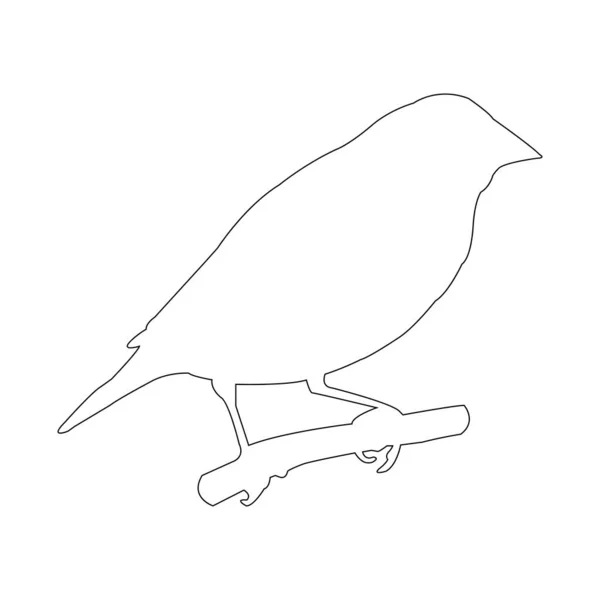Disegno Illustrazione Vettoriale Dell Icona Dell Uccello Del Fringuello Gouldiano — Vettoriale Stock