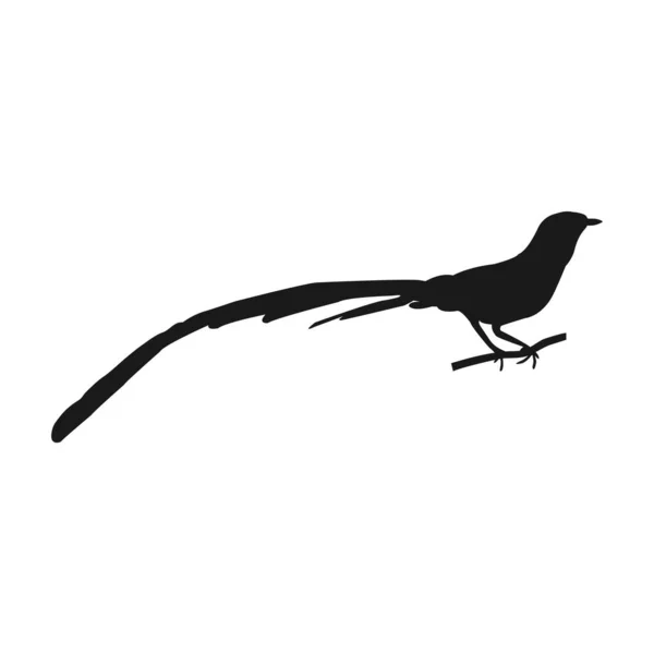 カササギの鳥のアイコンベクトルイラストデザイン — ストックベクタ