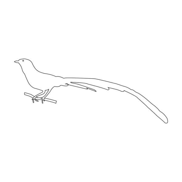 Icono Pájaro Urraca Vector Ilustración Diseño — Vector de stock