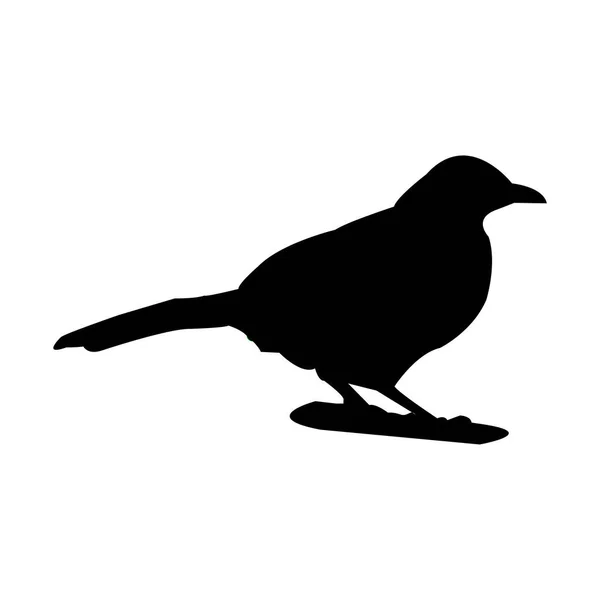 Fågel Ikon Vektor Illustration Design — Stock vektor