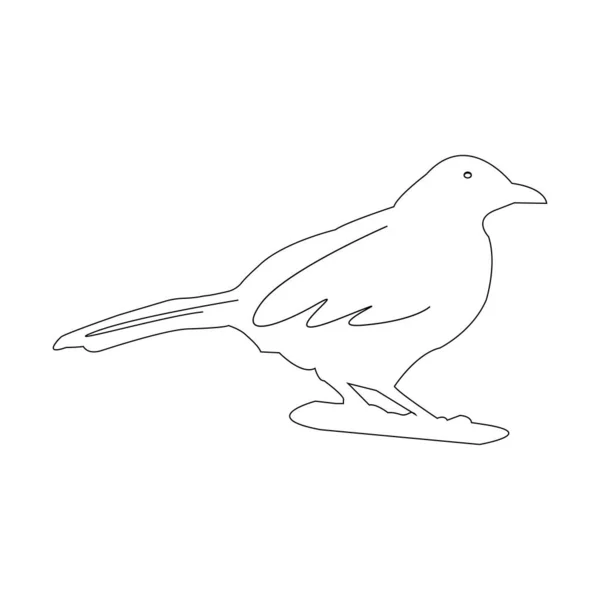 Desenho Ilustração Vetor Ícone Pássaro —  Vetores de Stock