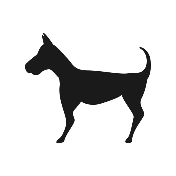 Pies Ikona Wektor Ilustracja Symbol Projekt — Wektor stockowy