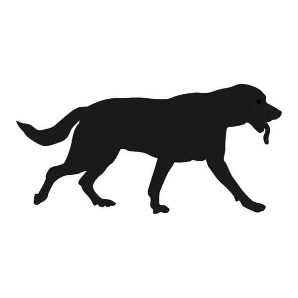 Desain Simbol Gambar Vektor Ikon Anjing - Stok Vektor