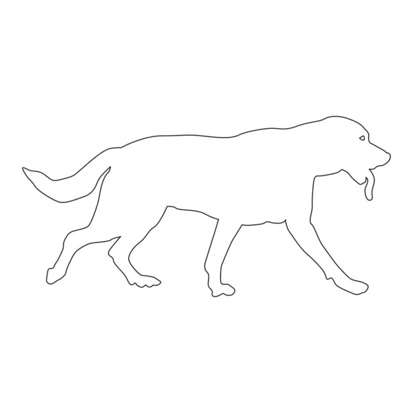 犬の線のアイコンベクトルのイラストシンボルデザイン — ストックベクタ