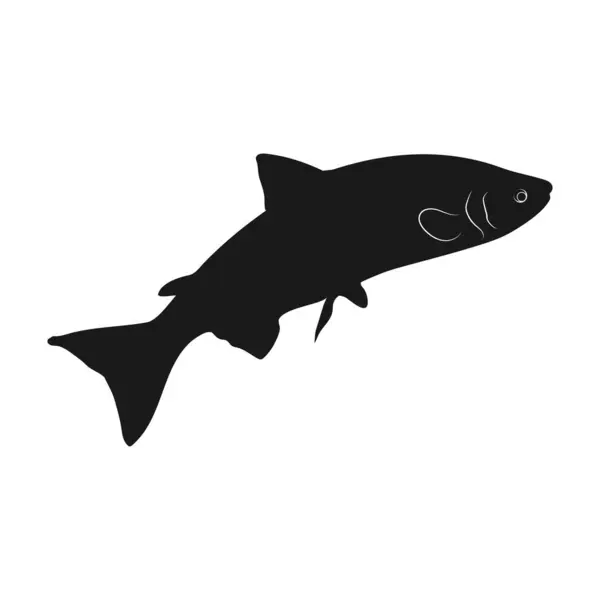 Lachs Fisch Symbol Vektor Illustration Design — Stockvektor