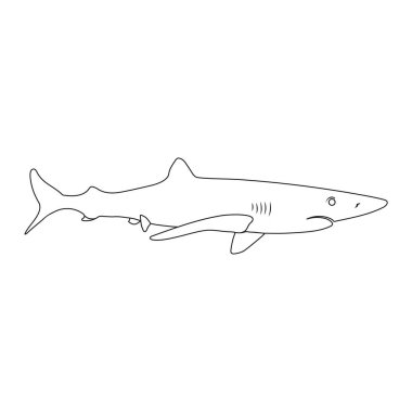 köpekbalığı simgesi vektör illüstrasyon tasarımı