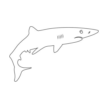 köpekbalığı simgesi vektör illüstrasyon tasarımı