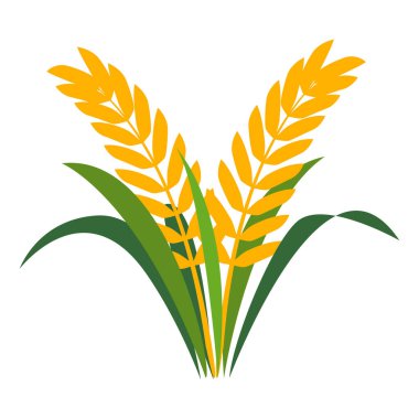 Beyaz arka planda yalıtılmış çeltik pilavı kulağı. Simge vektör illüstrasyonu.