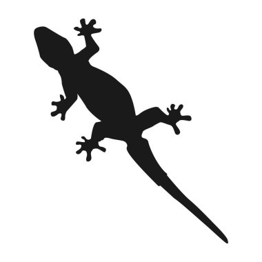 ev kertenkelesi vektör simgesi basit tasarım