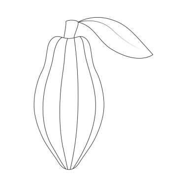 kakao simgesi vektör illüstrasyon tasarımı