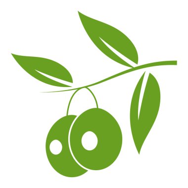 zeytin logosu vektör tasarımı