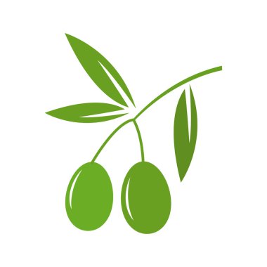 zeytin logosu vektör tasarımı