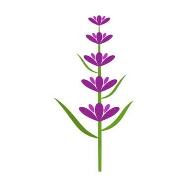 Taze lavanta çiçeği logo vektörü düz tasarım