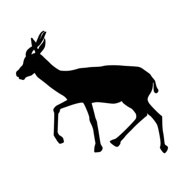 Antilop simgesi vektör illüstrasyon tasarımı