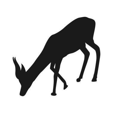 Antilop simgesi vektör illüstrasyon tasarımı