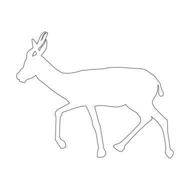 Antilop simgesi vektör illüstrasyon tasarımı