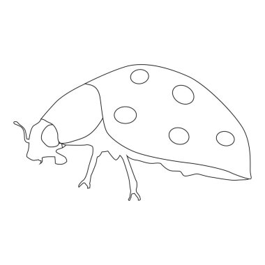 Uğur böceği ikonu vektör illüstrasyon tasarımı