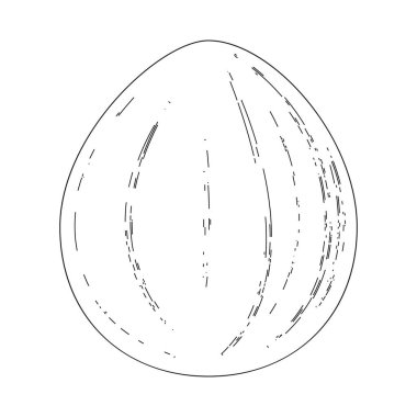 hindistan cevizi simgesi vektör çizimi tasarımı