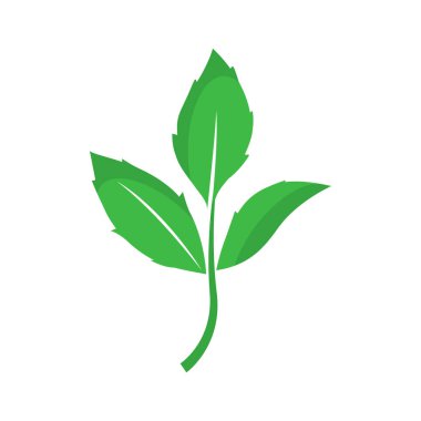 Yaprak logo vektör illüstrasyon tasarımı