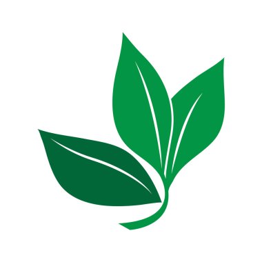 Yaprak logo vektör illüstrasyon tasarımı