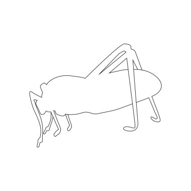 Katydid çekirge simgesi çizimi