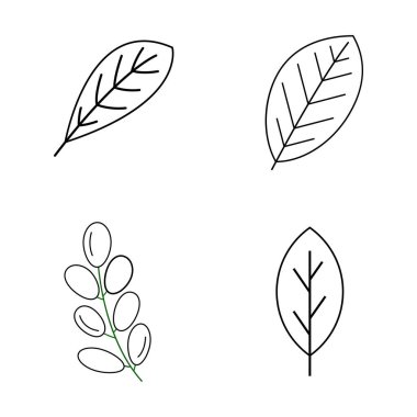 Basit yaprak resmetme tasarımı