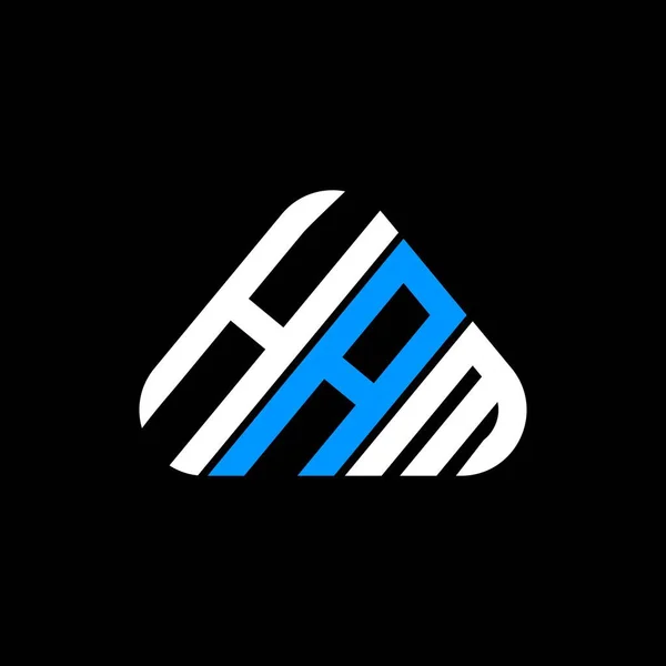 Ham Harf Logosu Tasarımı Vektör Grafik Ham Basit Modern Logo — Stok Vektör