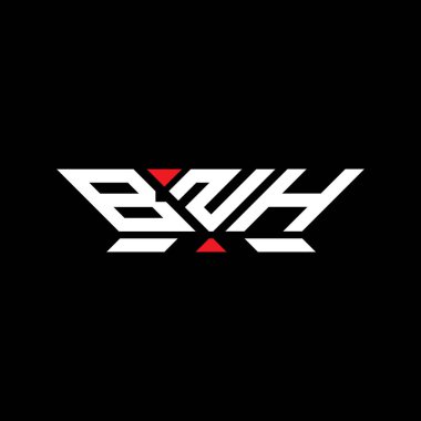 BNH harfli logo vektör tasarımı, BNH basit ve modern logo. BNH lüks alfabe tasarımı  