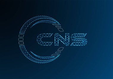 CNS düşük poli harfli logo vektör tasarımı. CNS düşük poli logo tasarımı. 