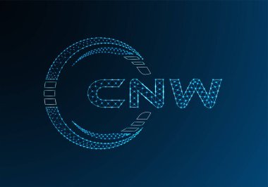 CNW düşük poli harfli logo vektör tasarımı. CNW düşük poli logo tasarımı. 