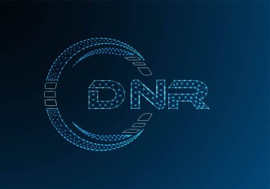 DNR düşük poli harfli logo vektör tasarımı. DNR düşük poli logo tasarımı. 