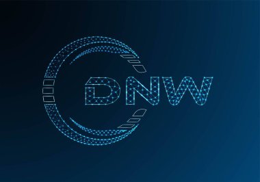 DNW düşük poli harfli logo vektör tasarımı. DNW düşük poli logo tasarımı. 