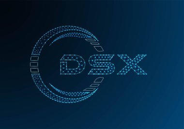 DSX düşük poli harfli logo vektör tasarımı. DSX düşük poli logo tasarımı. 
