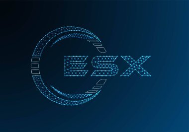 ESX düşük poli harfli logo vektör tasarımı. ESX düşük polyester logo tasarımı. Düşük polyester logo.