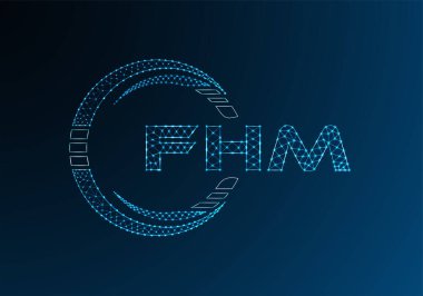 FHM düşük poli harfli logo vektör tasarımı. FHM düşük poli logo tasarımı. 