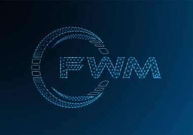 FWM düşük poli harfli logo vektör tasarımı. FWM düşük poli logo tasarımı. 