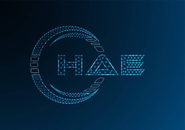 HAE düşük poli harfli logo vektör tasarımı. HAE düşük poli logo tasarımı. 